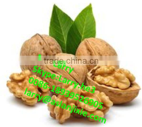 nut size sorting machine/walnut size grader/walnut size sorter