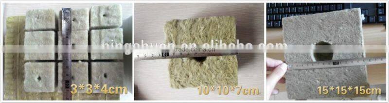 Seed starting Rockwool Cubes