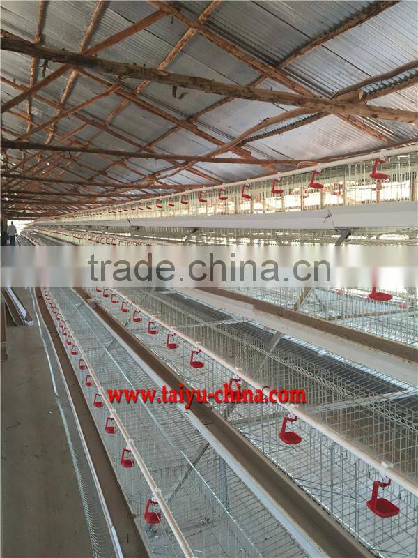 TAIYU Chicken Farm Chicken Cage for Sale