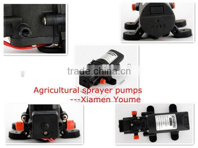 Singflo 12V 4.3L/Min electric yacht shower water pump/ diaphragm water pump