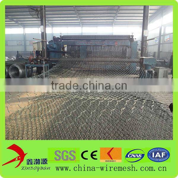 Chain Link Mesh Type and Low-Carbon Iron Wire Material Electro Galvanized Hex Wire Netting