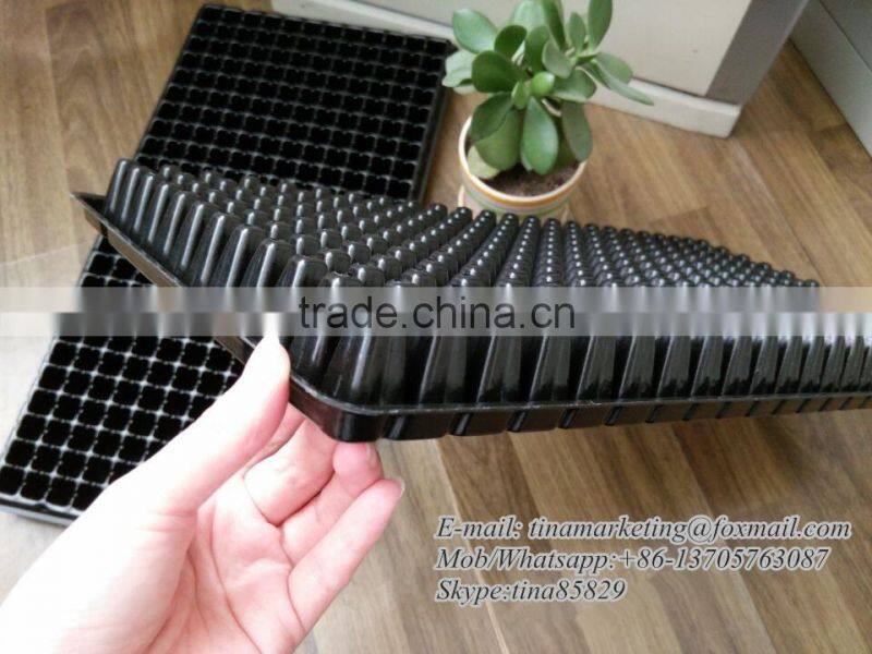 Growing Vegetable Transplants in Plug Seed Nursery Trays 8 Cell