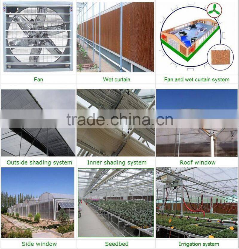 Hot sale 7.2m single/multi-span agricultural plastic green houses with good price