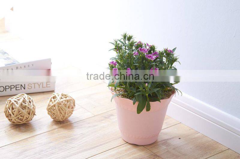 Fashional Design Lotus Shaped Plastic Plant Flower Pot which has 6 Kinds of Colors