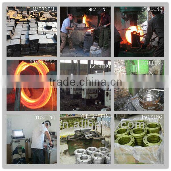ANSI/ ASME/ DIN/ JIS Standard Stainless Steel Pipe Weld Neck Flange Made in China