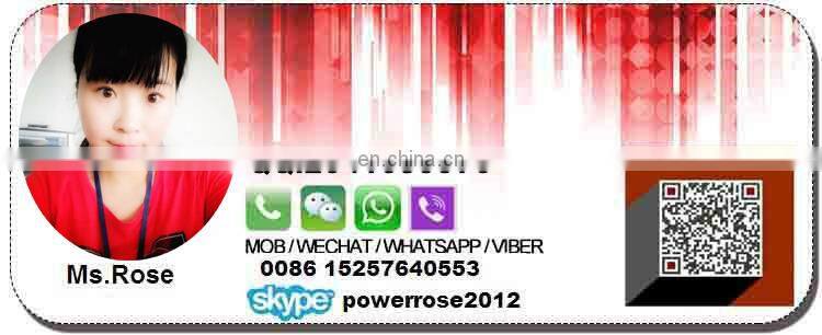 LONFA China Taizhou Price Mini Small Portable Electric Camping Generator 500W