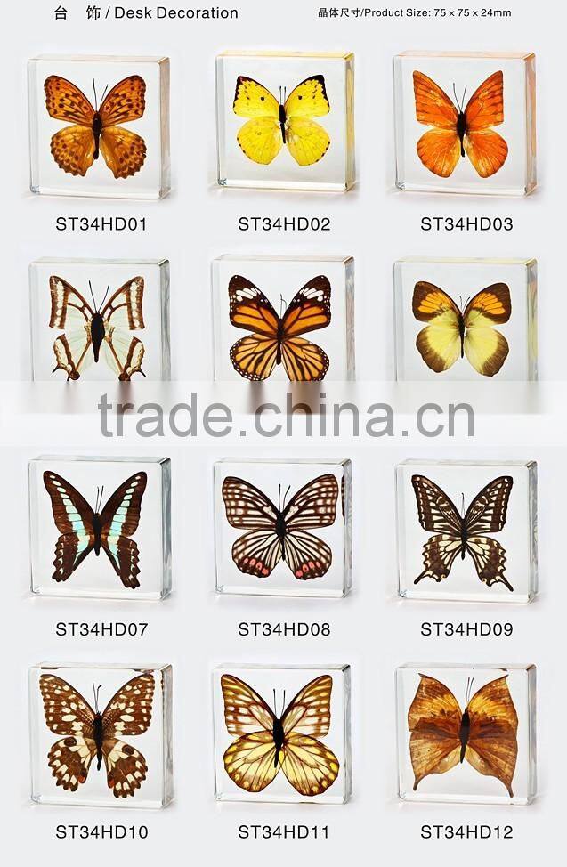New design promotion gifts butterfly wholesale butterfly paperweight