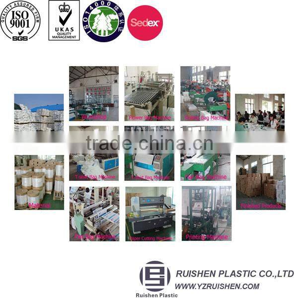 Printed flat plastic bopp self adhesive header bag