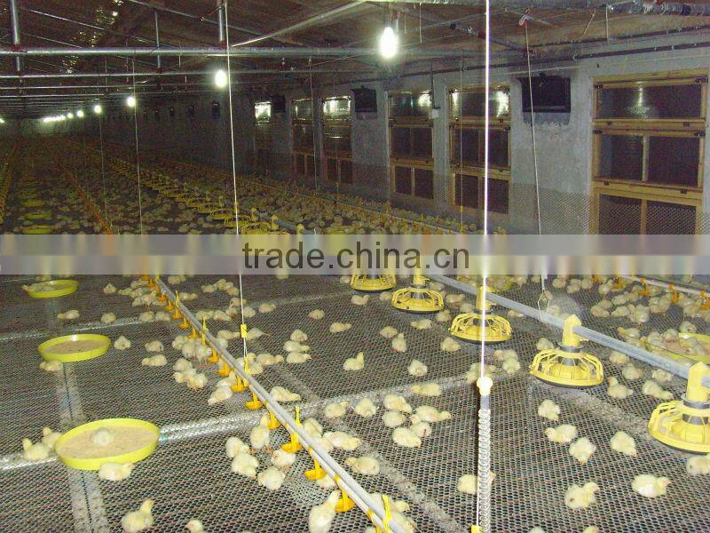 farm broiler feeding pan