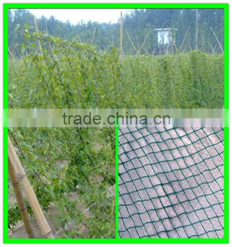 garden used plastic plant support net for flowers