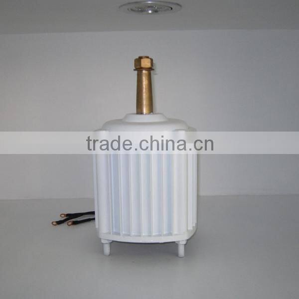1000w permanent magnet generator