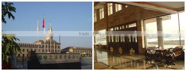 Good quality round deep palm leaf plates on sale