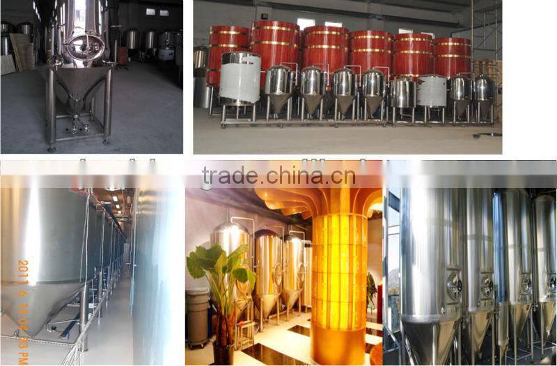 10BBL Stainless steel conical fermenter
