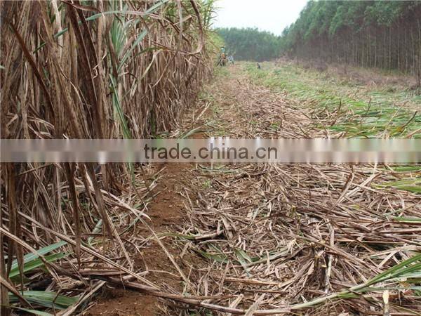 Factory supplying directly low price new sugar cane harvester/mini cane harvester with top leaf chopper