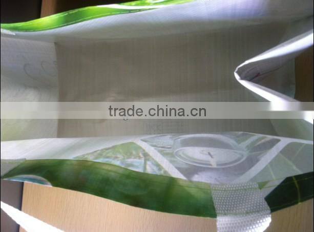 New and Fashion promotional PP Woven Gift Bag