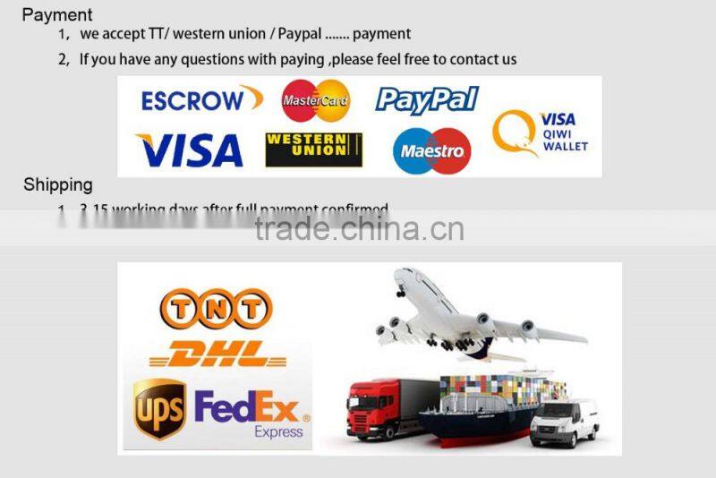 Top grade oral electric toothbrush head B