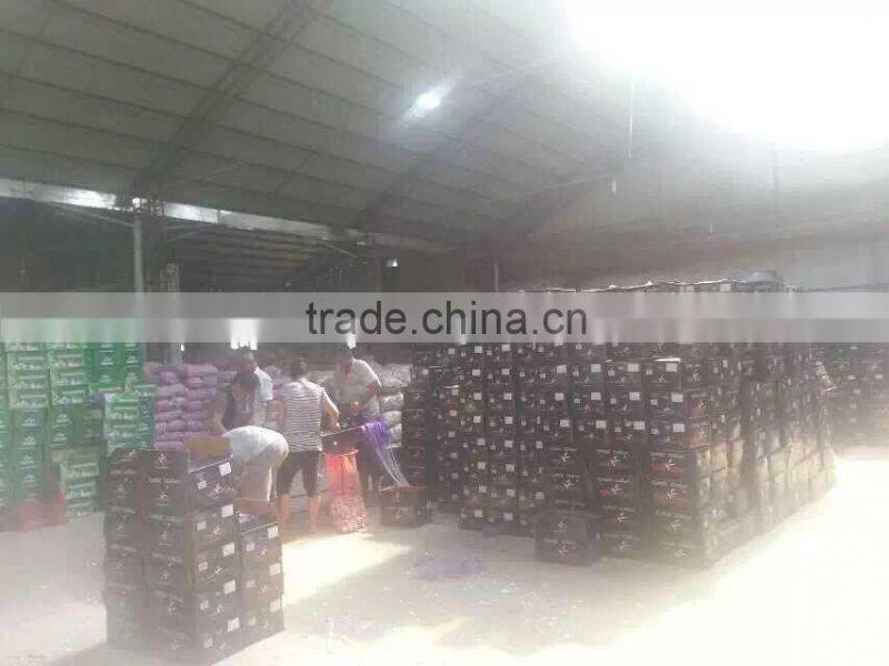 fresh white garlic 55-60cm oganic fresh garlic