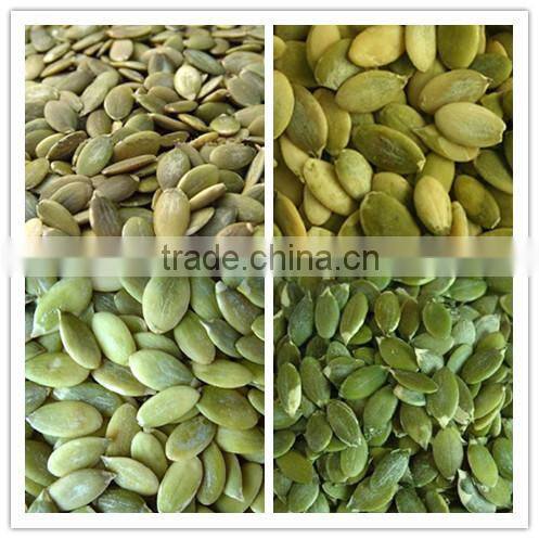 A Grade Pumpkin Seeds Kernels for Sales
