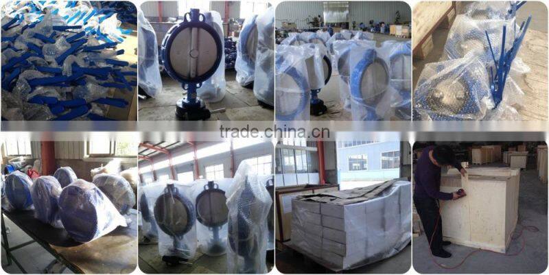 Stainless Steel Foot Valve SS304/SS316 Foot Valve ANSI Flange foot valve with strainer