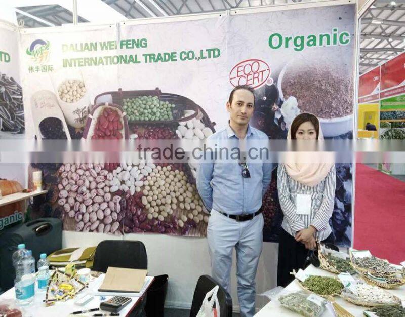 Chinese Light Speckled Kidney beans Long Shape on promotion