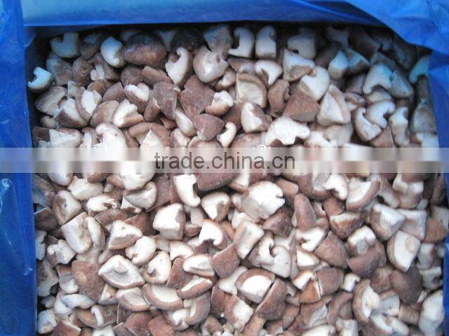 IQF frozen shiitake mushroom