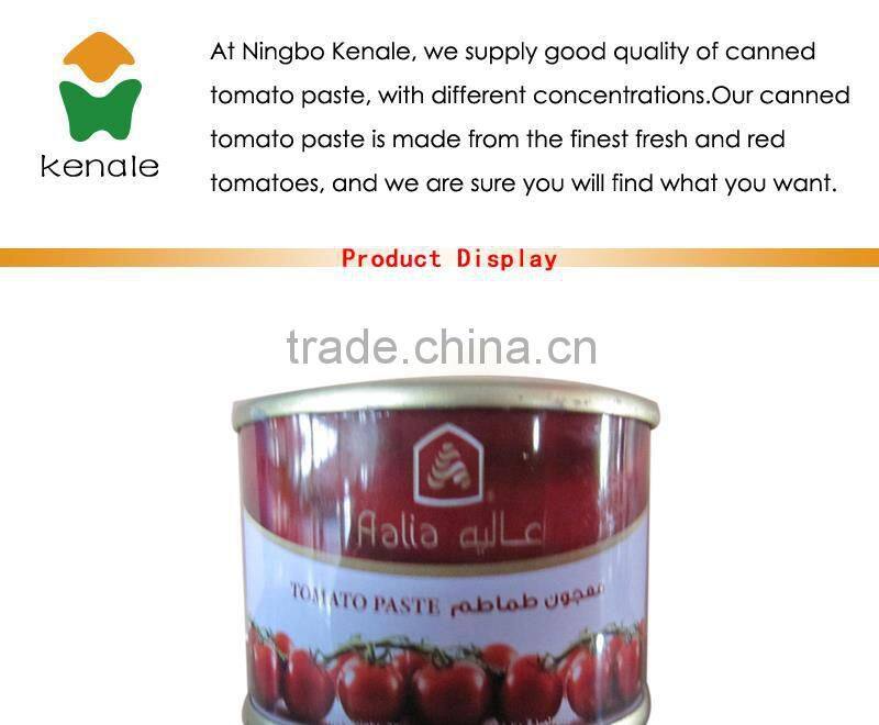 Low Price Wholesale tomato paste processing plant 70gX50tins