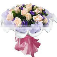 Wholesale gel pads freezefat antifreezing membrane