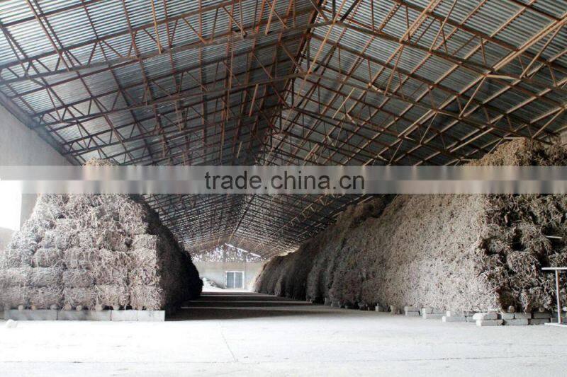 Licorice Root Exporters from India