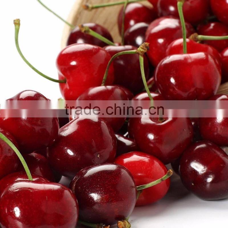 fresh cherry fruit
