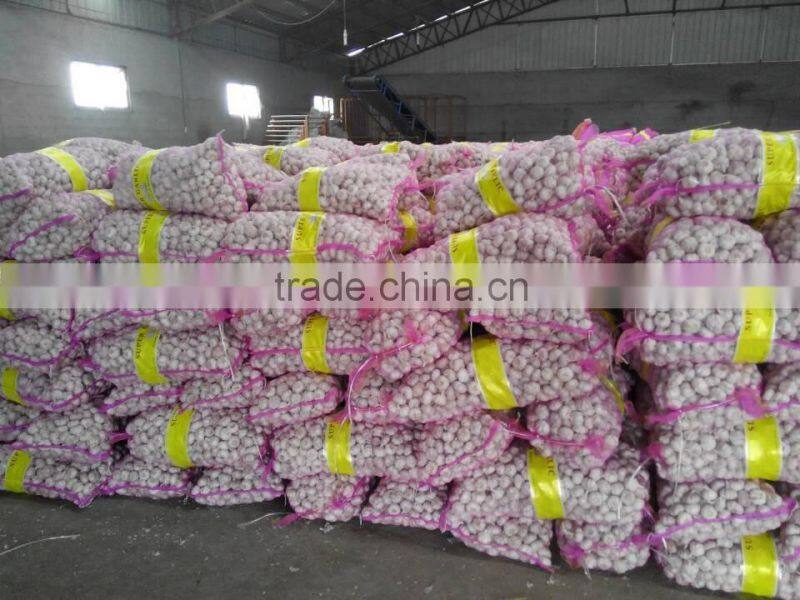 Fresh Garlic natural