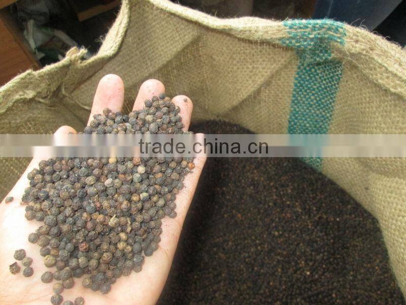 VIETNAM BLACK PEPPER HIGH QUALITY (skype &yahoo: visimex08)