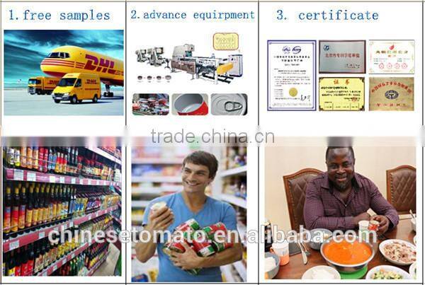 tube tomato paste with low price and high quality