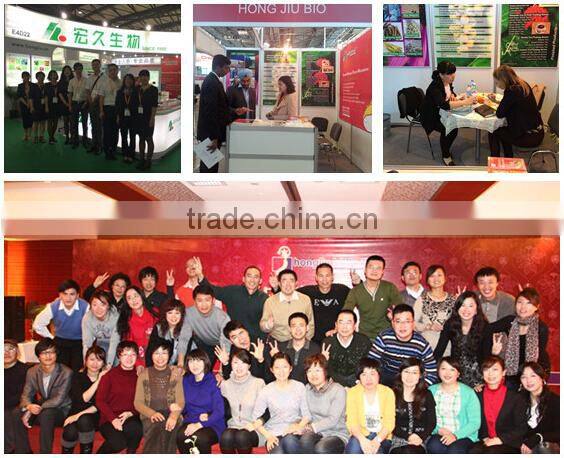 Raspberry Extract Powder Chinese Manufacturer