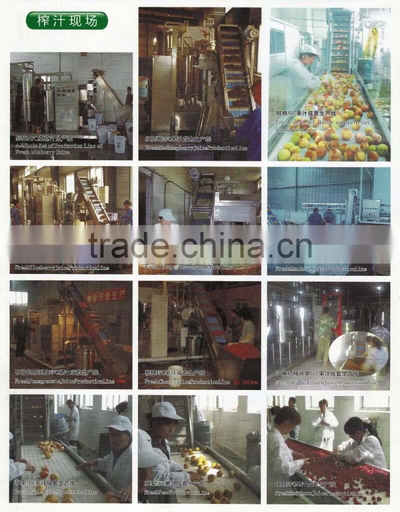 Fresh Fruit Juice Production Line
