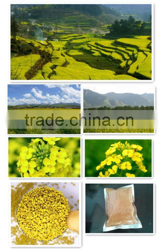 Korea hot sell pure rape bee pollen from qinghai china