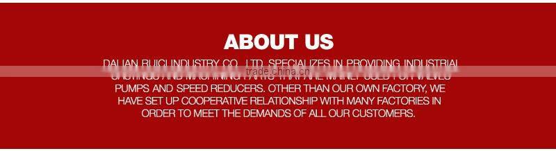 China Manufacturer Sand Casting Oem Cast Iron Small Water Pump Double Impeller