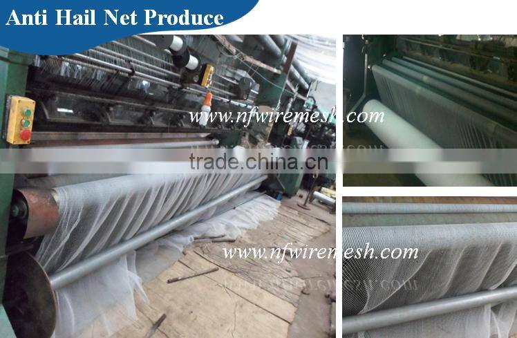 Hdpe net 25 x25 mm mesh hole agricultural bird netting (Guangzhou Factory)