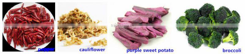 Nanyang manufacturer directly supplying latest and hot cleaning air continuous medlar mesh belt dryer