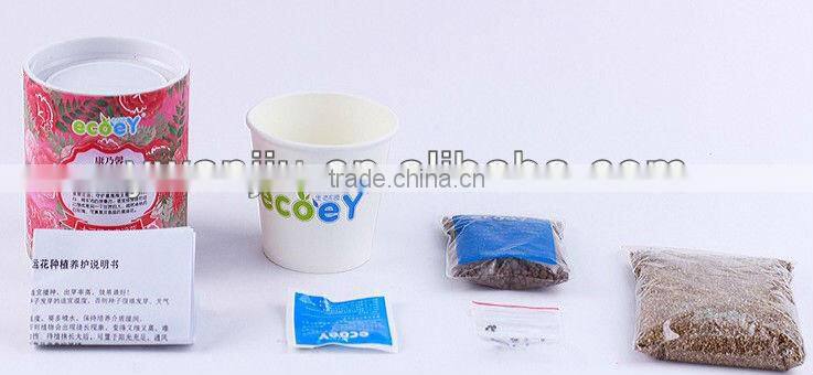 Fashion Twelve constellations lucky flower potted plant -forget-me-not