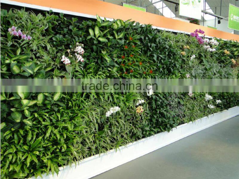 Anti UV/fire fake plant wall decoration artificial succulent plant wall subtropical plant wall