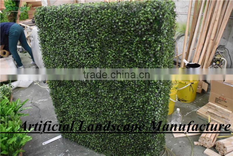 Green Grass Mate Boxwood Hedge Fence