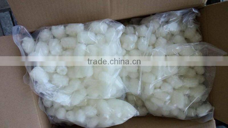 Forzen Pineapple Cut Squid