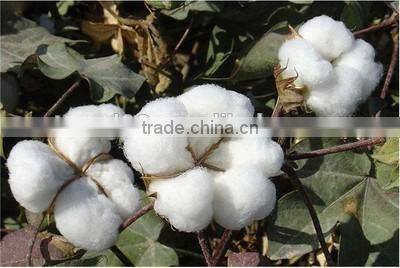 100% cotton towel, bath towels manufacturer | hotel bath towel | white bath towel