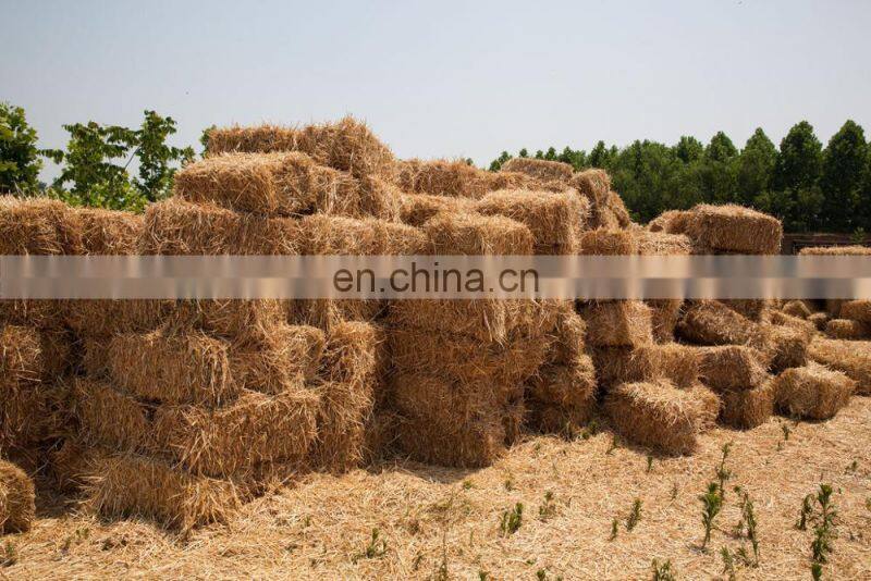 Waster paper /cloths / carton baling press and compress baler machine