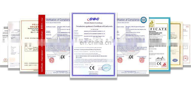 Kids train manege en chine amusement park trains for sale