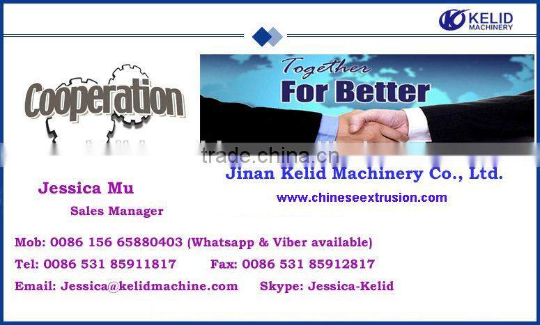 High Quality Turnkey Macaroni Plant