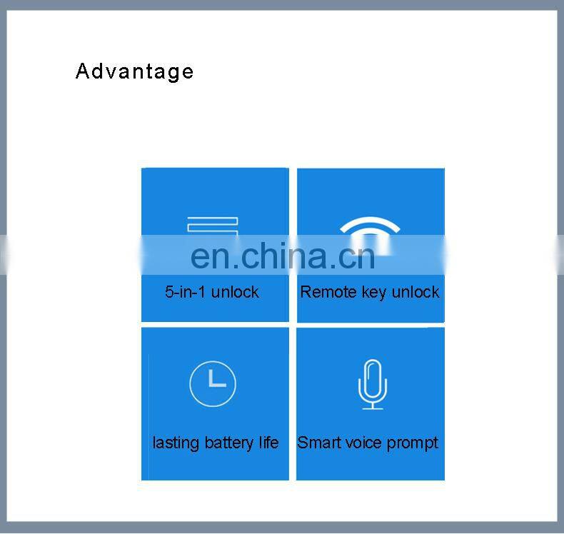 Double Glazed Security Biometric Fingerprint Password Smart Sliding Frameless Glass Door Electric Door Lock
