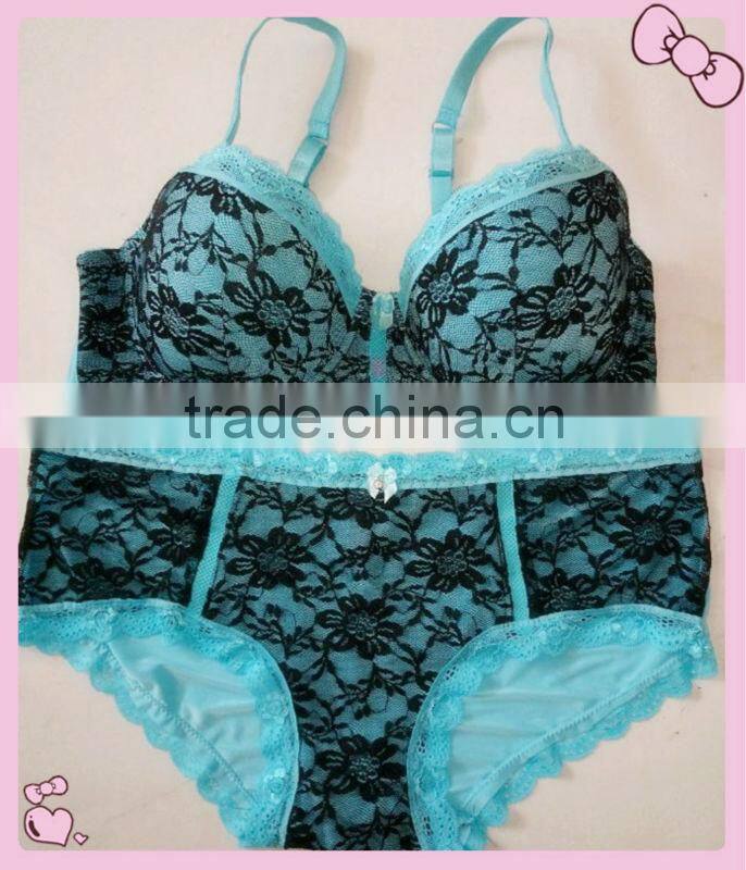 Plus Size Lace Bra Set