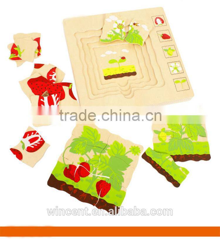 Strawberry Gowth Simple Multiple Layer Wooden Puzzle