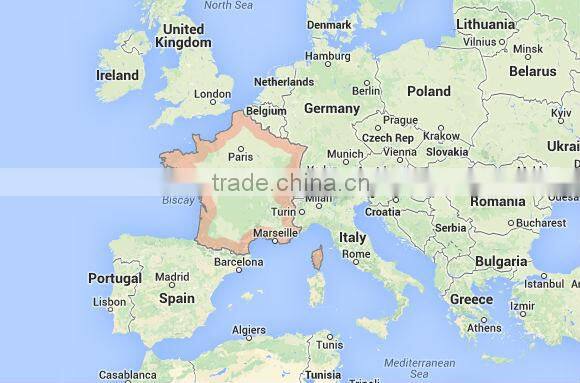 Plastic Broom printing Broom